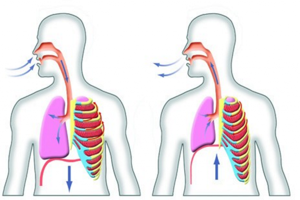 Breathing Out